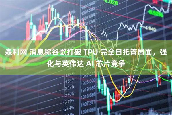 森利网 消息称谷歌打破 TPU 完全自托管局面，强化与英伟达 AI 芯片竞争
