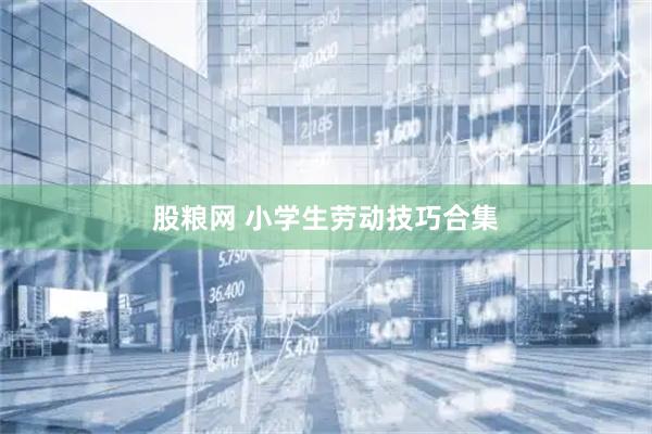 股粮网 小学生劳动技巧合集