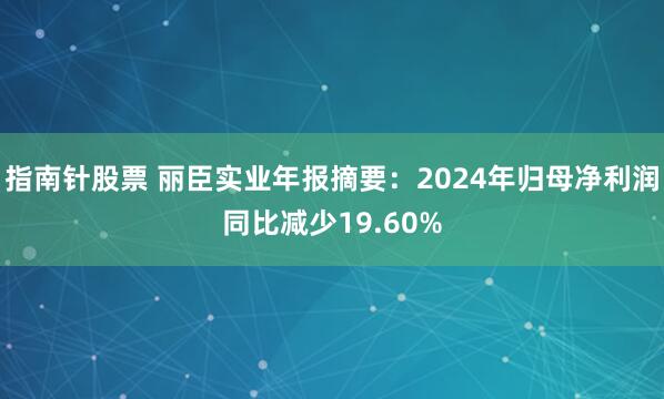 指南针股票 丽臣实业年报摘要：2024年归母净利润同比减少19.60%