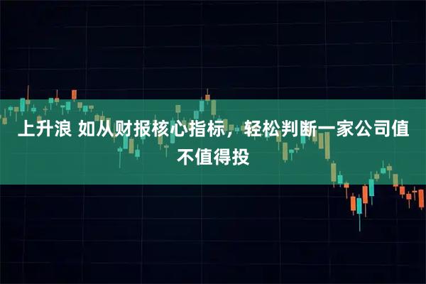 上升浪 如从财报核心指标，轻松判断一家公司值不值得投