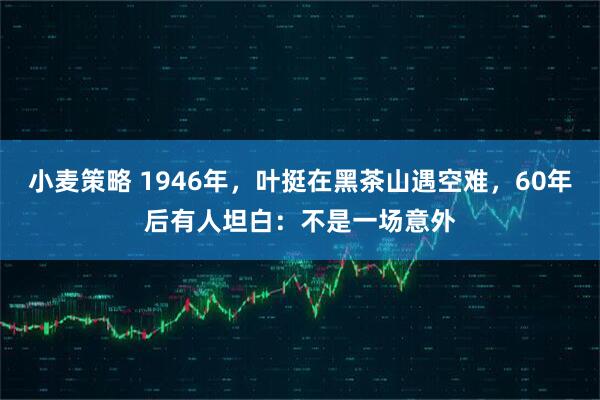 小麦策略 1946年，叶挺在黑茶山遇空难，60年后有人坦白：不是一场意外